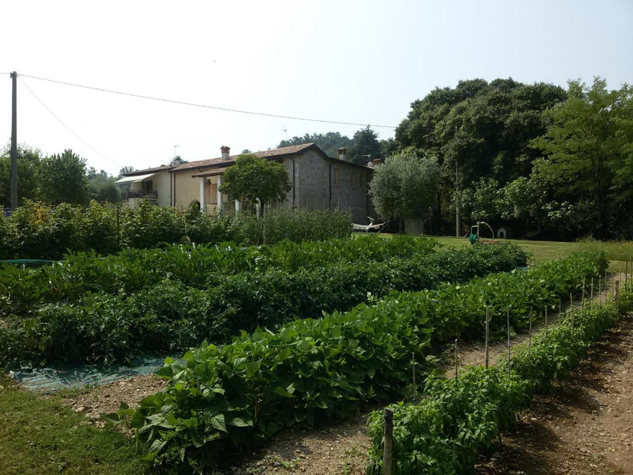 Agriturismo La Scala Villa Salo Bagian luar foto